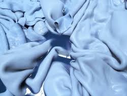 wet blue gtannery